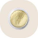 芒果果粒醬<br>Mango Pulp Jam