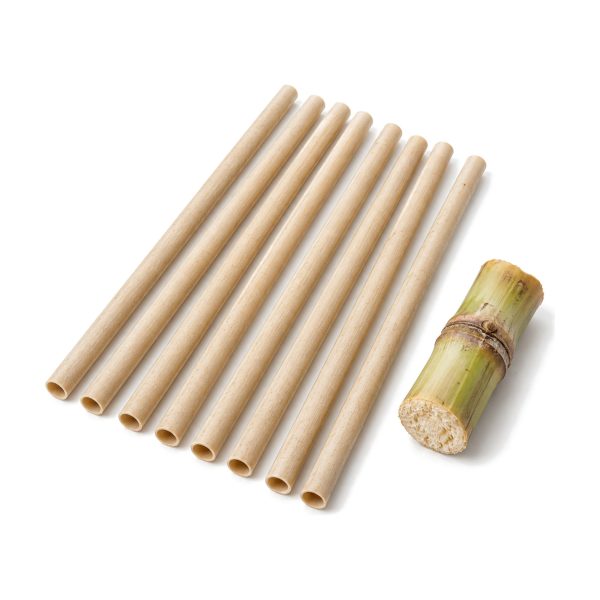 Sugarcane Straws